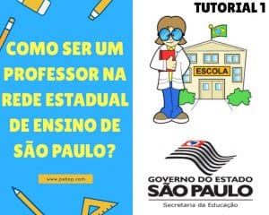 Como ser Um Professor do Estado