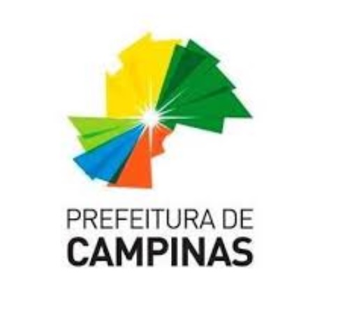 concurso professores campinas 2019