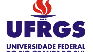 professor substituto UFRGS