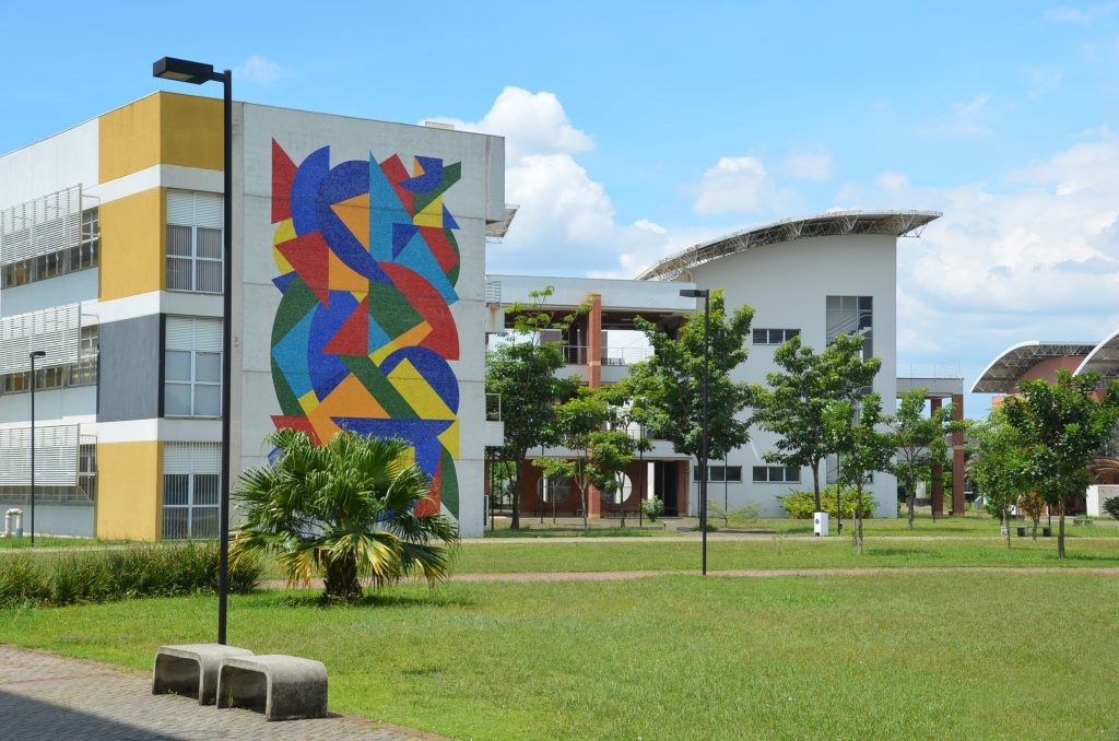 estudos culturais usp