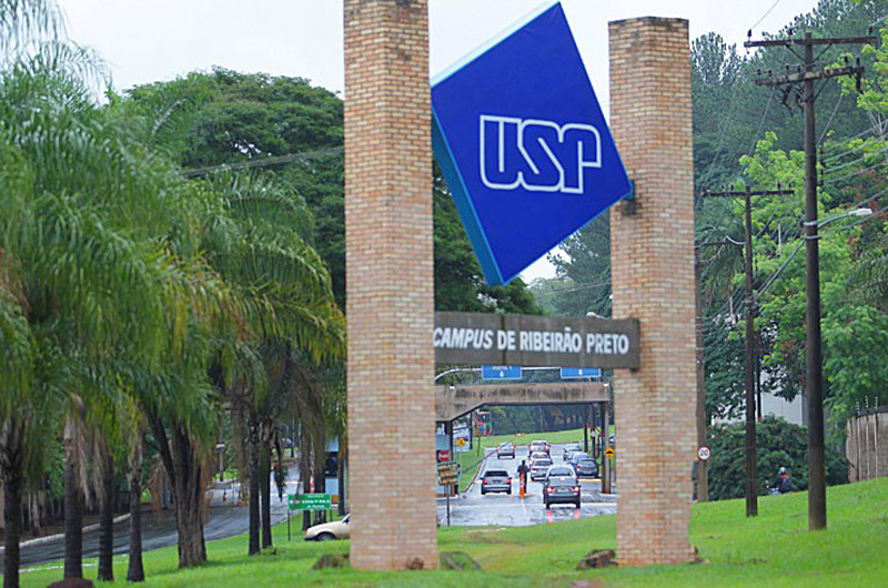 curso guarani usp