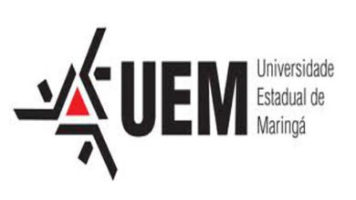 professor temporario UEM