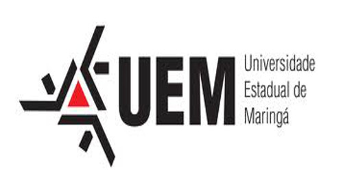 professor temporario UEM