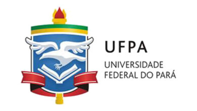 professor substituto UFPA 2020