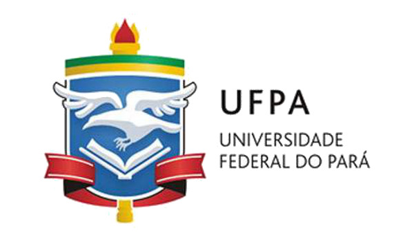 professor substituto UFPA 2020