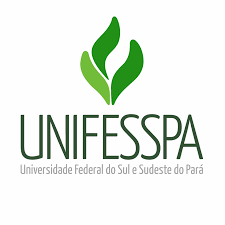 concurso unifesspa 2021