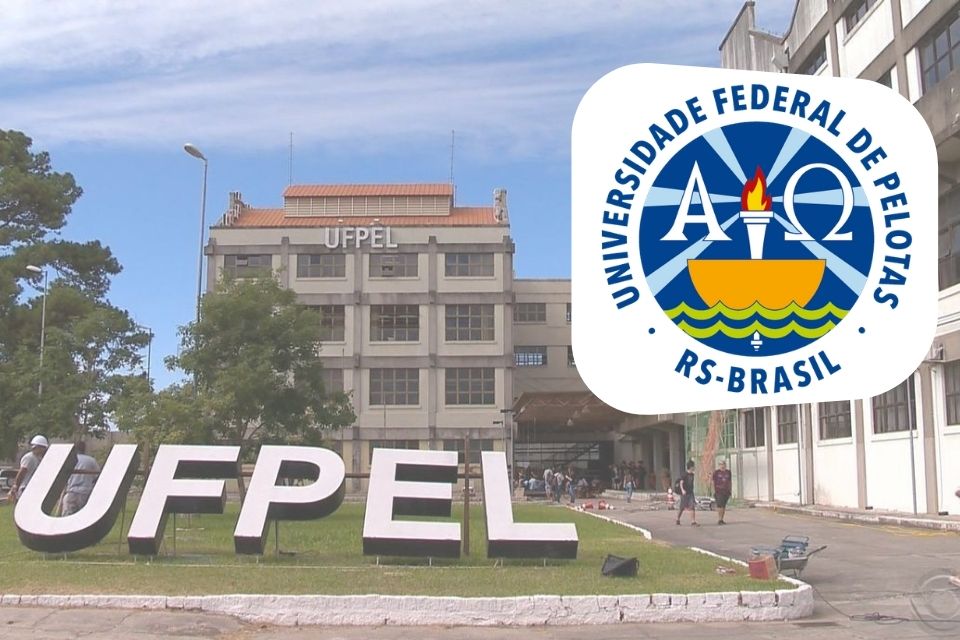 técnico administrativo UFPEL