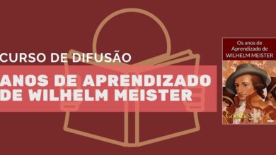 curso anos de aprendizado