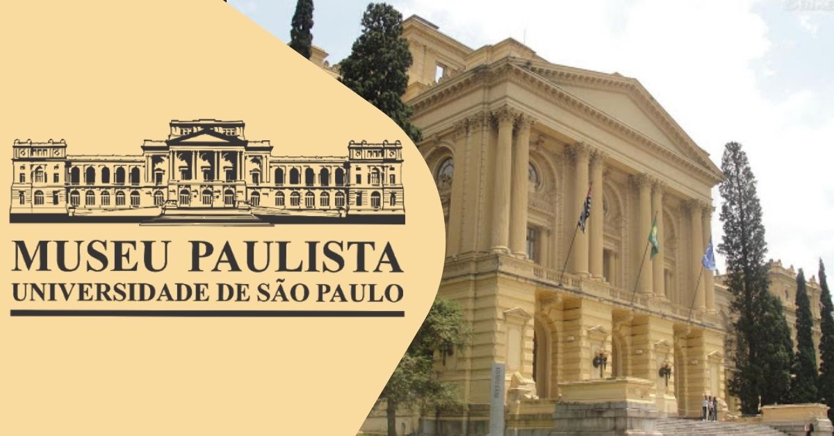 curso história do Brasil