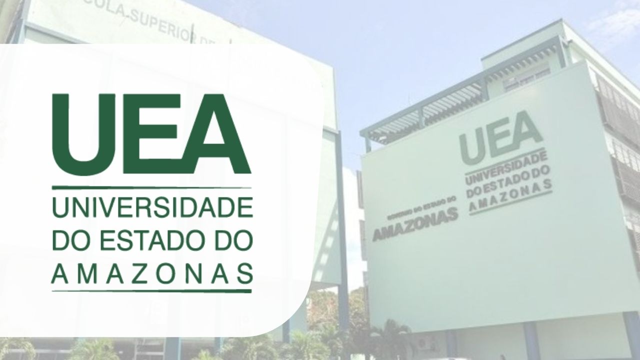 UEA professor temporário