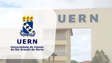 professores temporários UERN