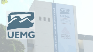 analista e técnico universitário UEMG