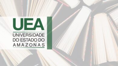 mestrado em letras e artes