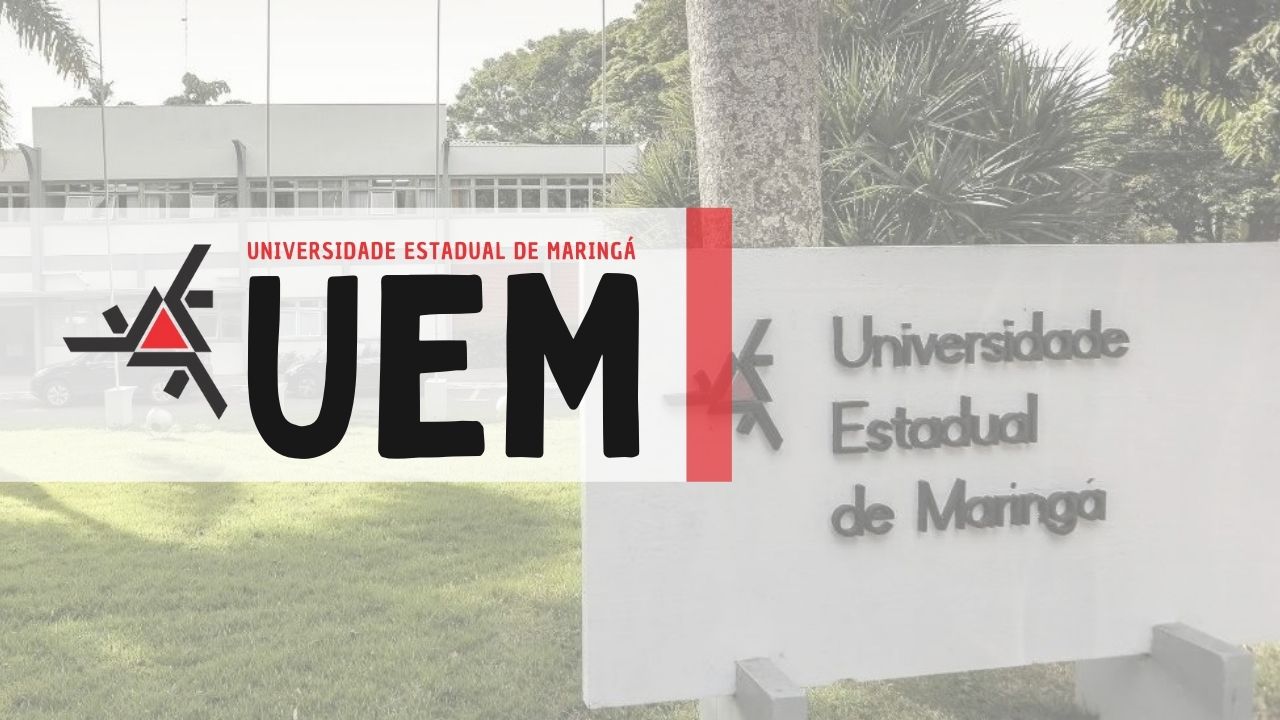 professor temporário UEM