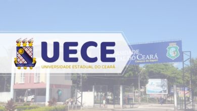 professores UECE