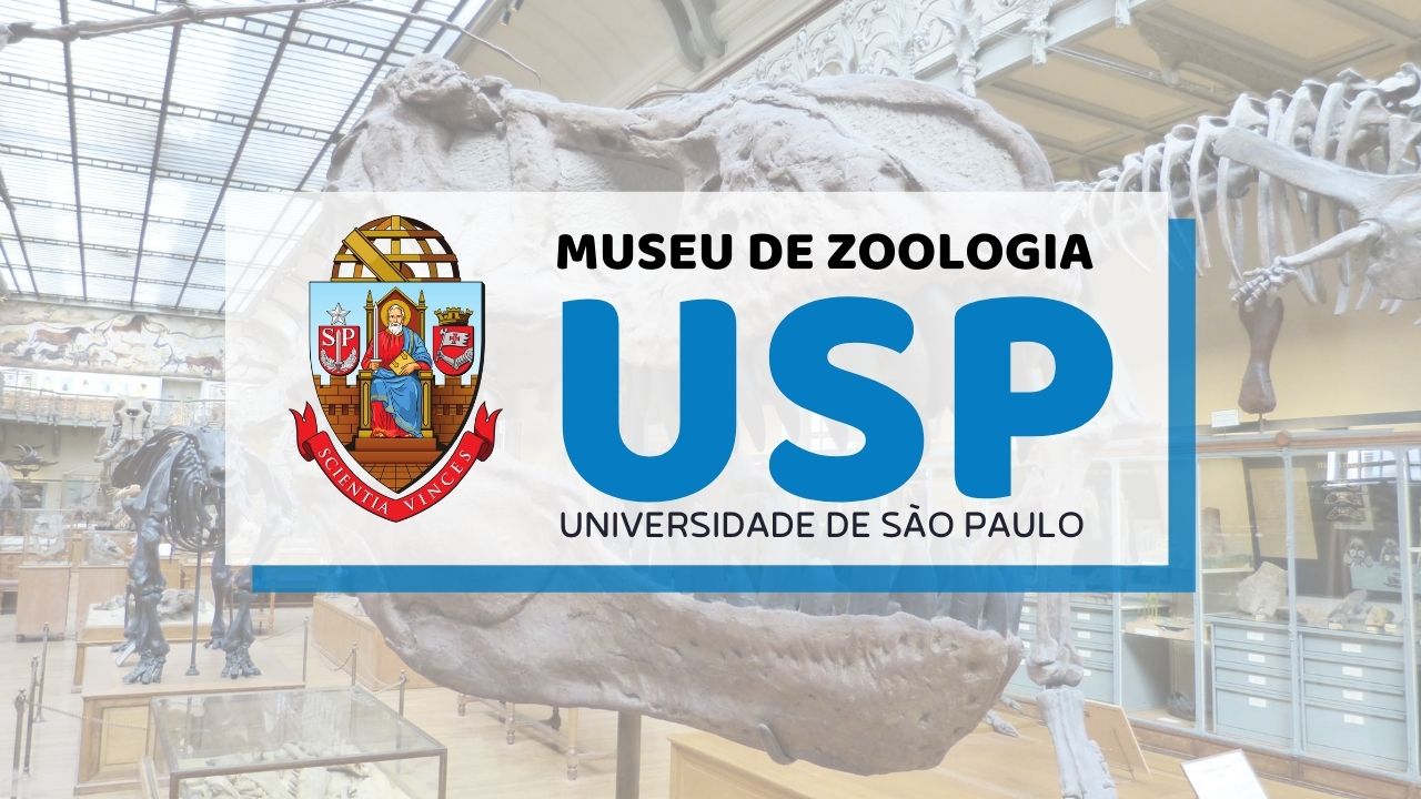 CURSO museu Zoologia