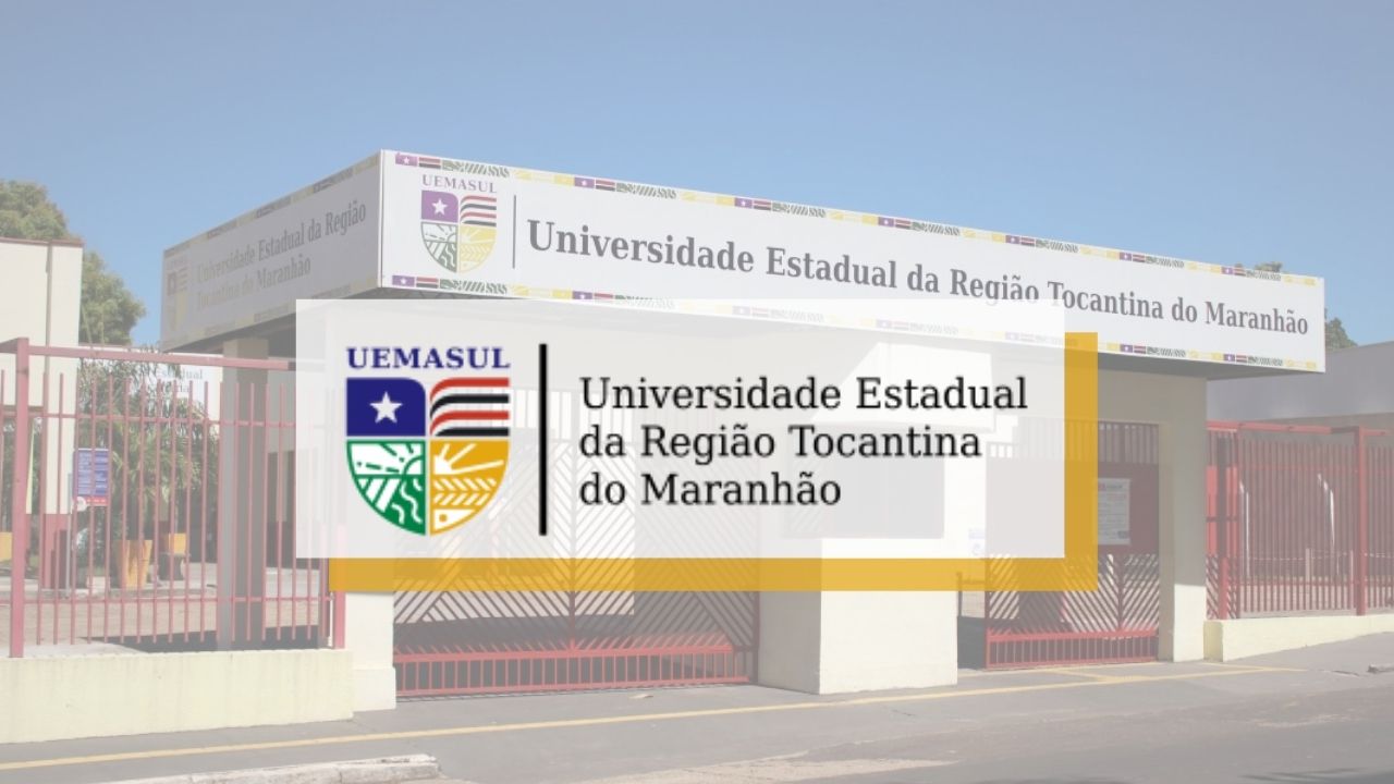 concurso professores UEMASUL