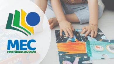 Formação Educação Infantil MEC