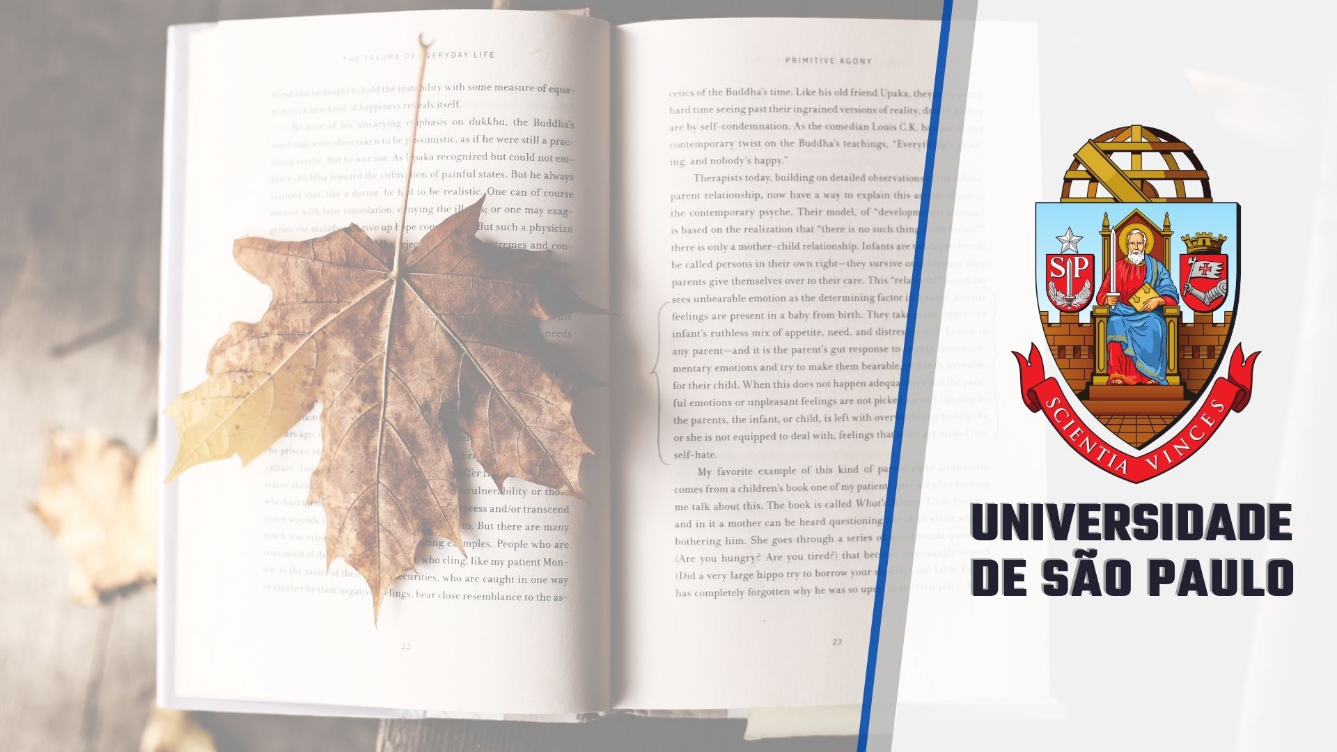 Curso Mulheres e Literatura USP