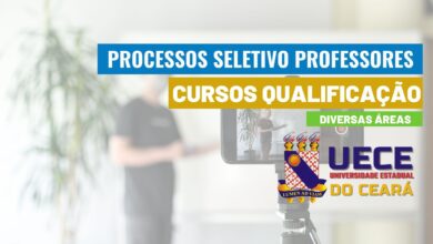 Professores Qualificação UECE