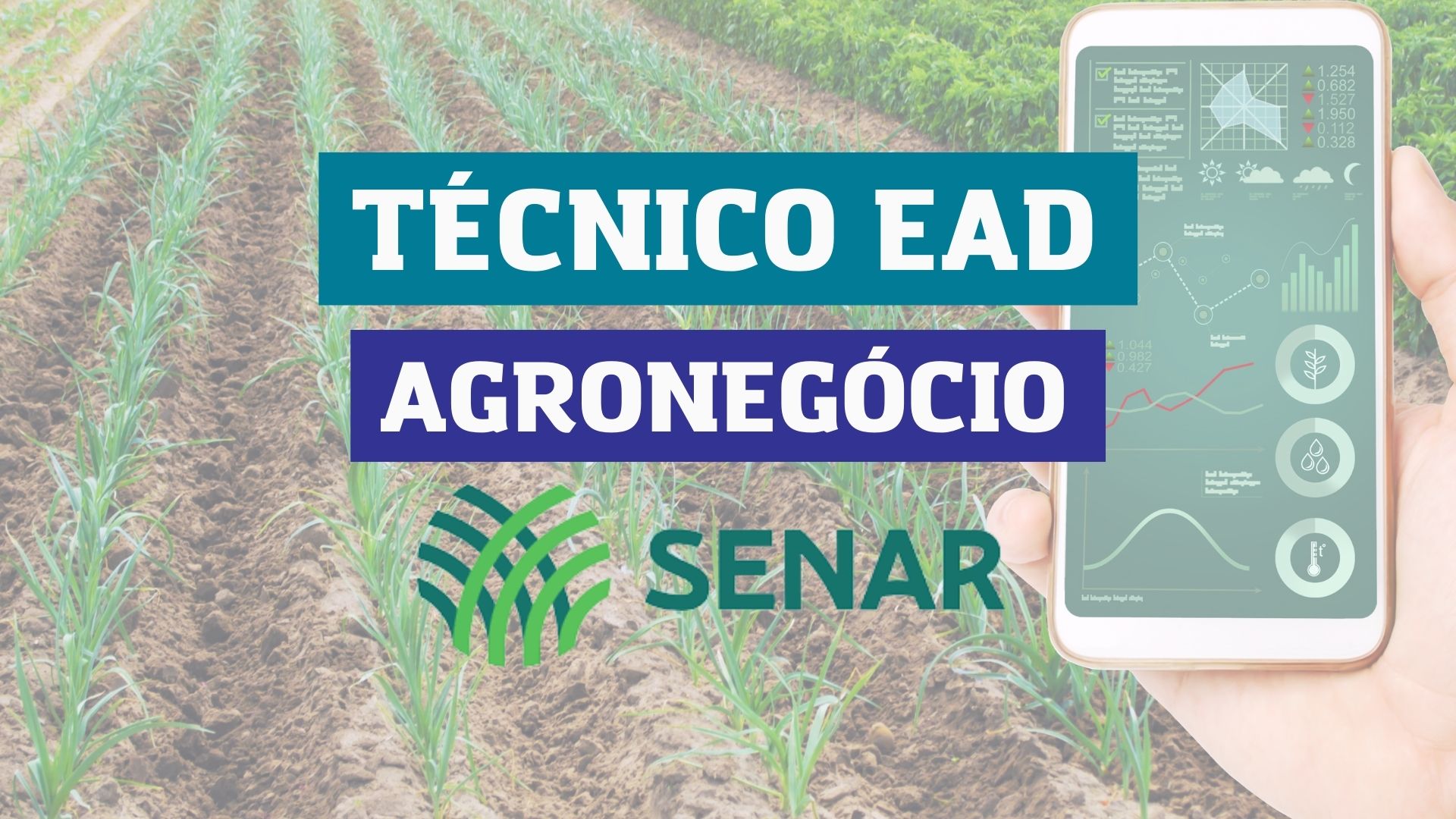 Técnico Agronegócio EAD