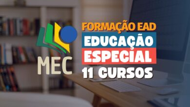 Educação Especial MEC