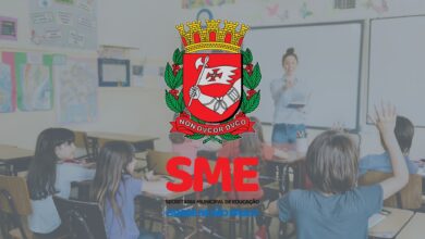 Professor Educação Infantil SME