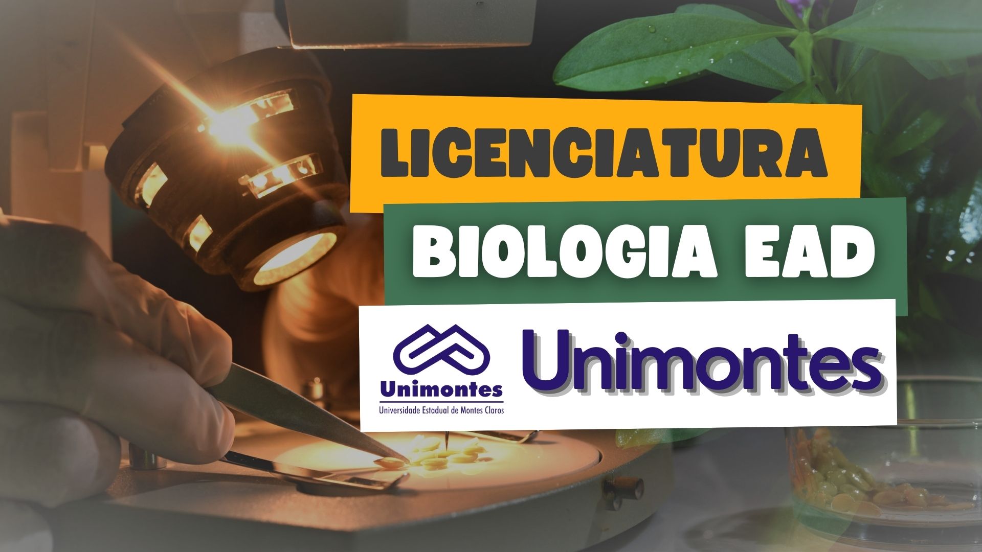 Licenciatura Ciências Biológicas EAD