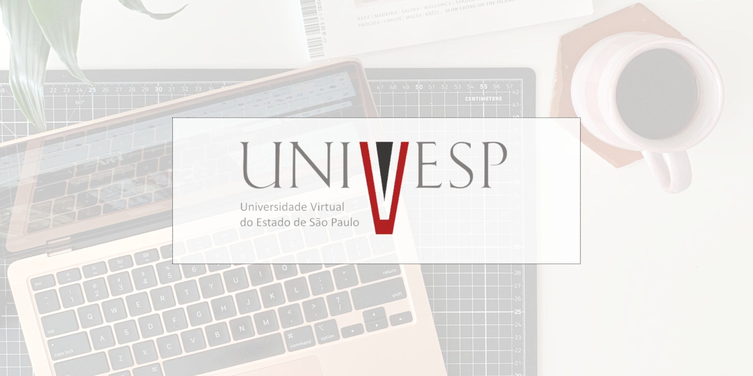 Graduação EAD UNIVESP