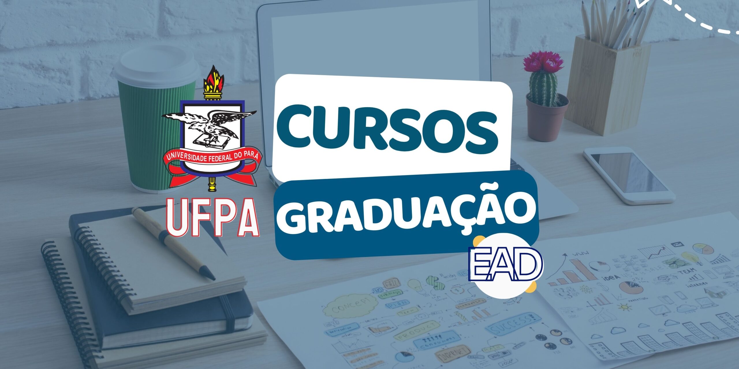 Graduação a distância UFPA