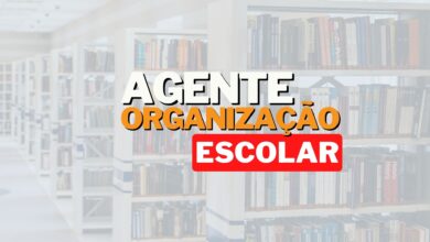 Agente de Organização Escolar SEDUC SP