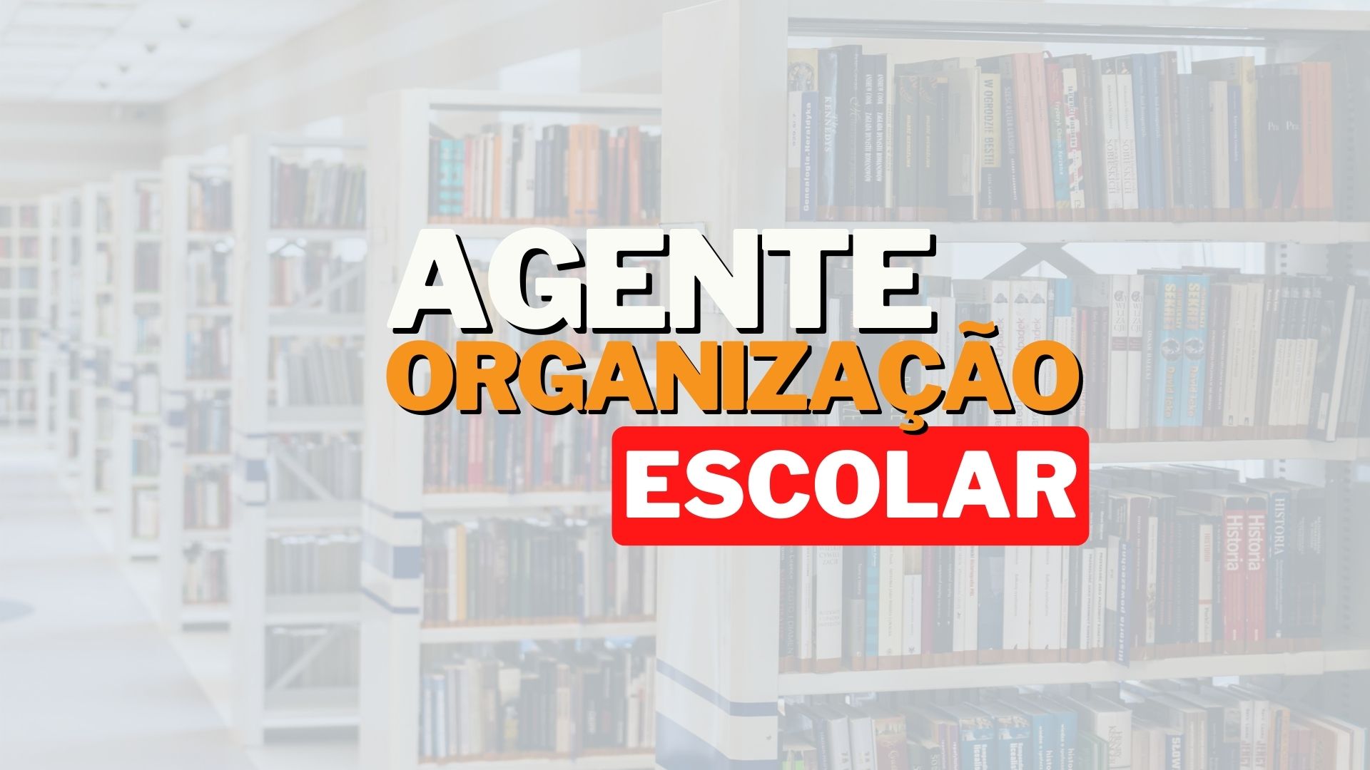 Agente de Organização Escolar SEDUC SP