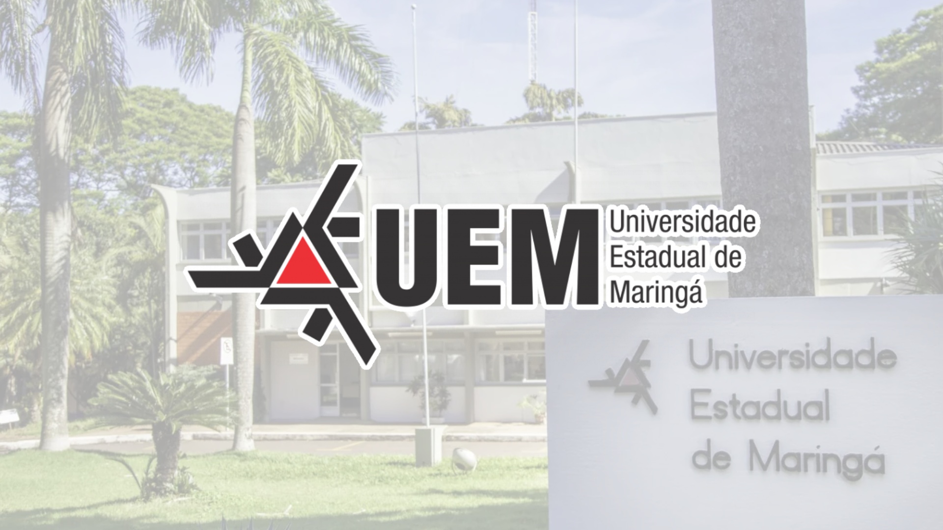 Graduação da UEM