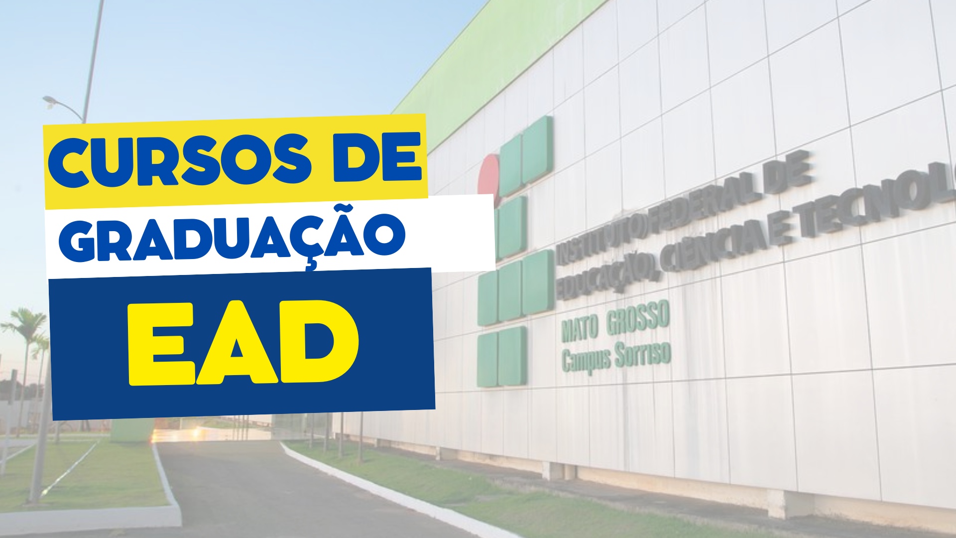 Graduação EAD Instituto Federal 2024