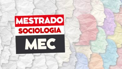 Mestrado Sociologia 2024