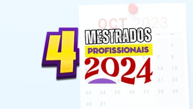 Mestrados Profissionais MEC