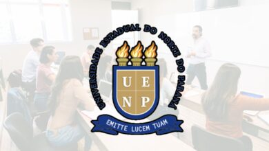 Cursos UENP 2024