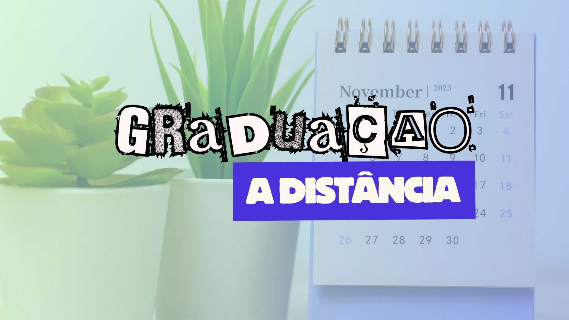 Graduação EAD novembro 2023