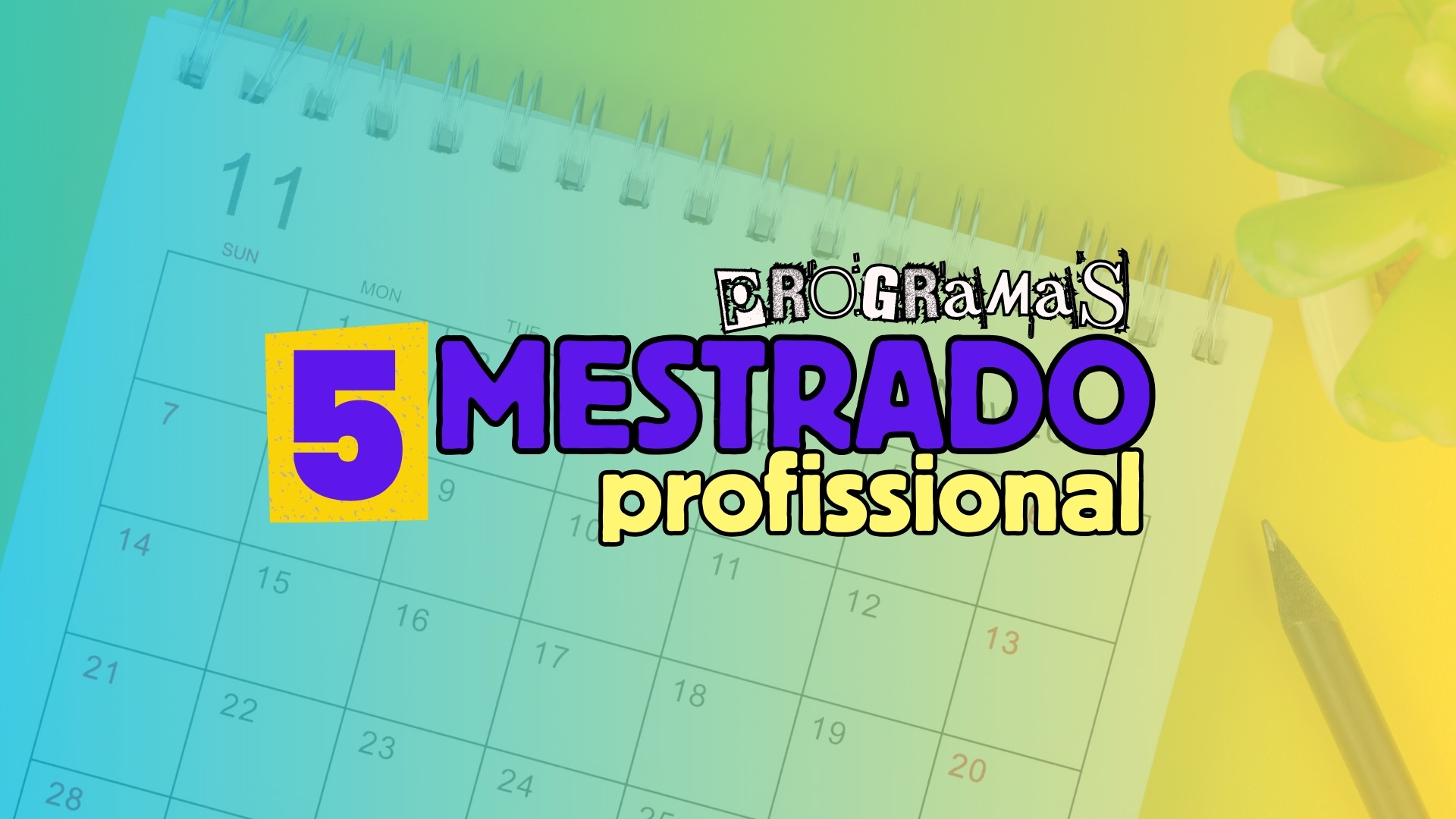 Mestrado Profissional MEC