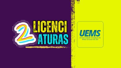 Licenciaturas EAD UEMS 2024