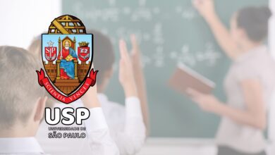 Mestrado Educação USP 2024