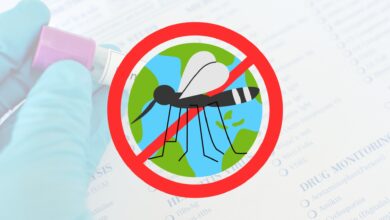 Quer saber mais sobre a Dengue? A Fiocruz lançou um curso sobre Dengue com certificado gratuito e 100% EAD. Confira detalhes!