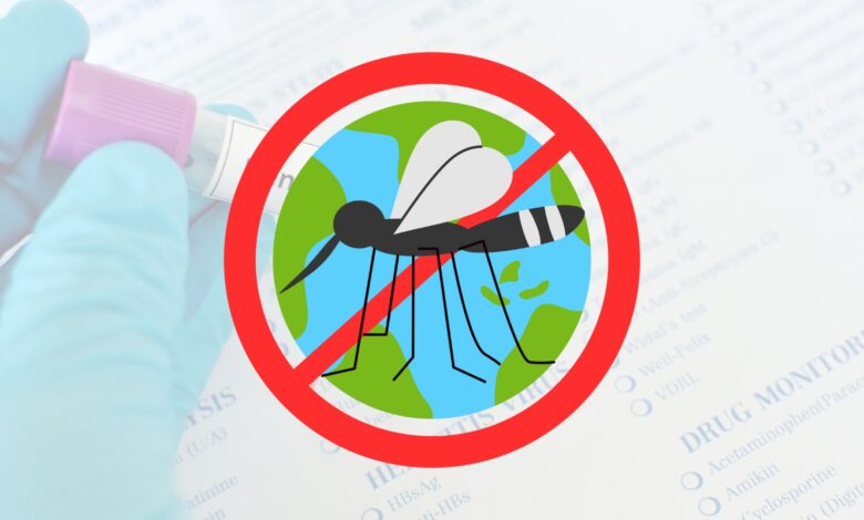 Quer saber mais sobre a Dengue? A Fiocruz lançou um curso sobre Dengue com certificado gratuito e 100% EAD. Confira detalhes!