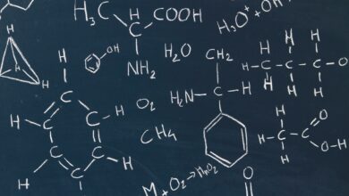 Universidade Federal do Mato Grosso - UFMT abre inscrições para mais de 50 vagas no curso de Licenciatura em Química EAD.