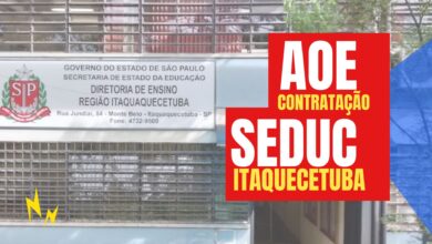 SEDUC - SP: Diretoria de Ensino na região Metropolitana abre inscrições para Agente de Organização Escolar - AOE em 2024. Confira detalhes