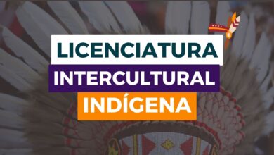 Instituto Federal do Piauí - IFPI abre inscrições para Licenciatura Intercultural Indígena com 120 vagas e Bolsa de R$ 700.