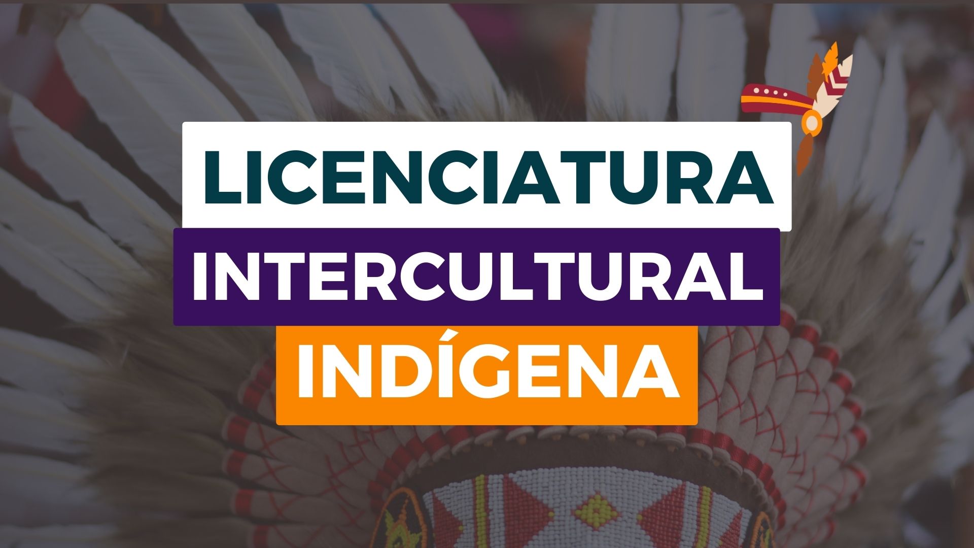 Instituto Federal do Piauí - IFPI abre inscrições para Licenciatura Intercultural Indígena com 120 vagas e Bolsa de R$ 700.