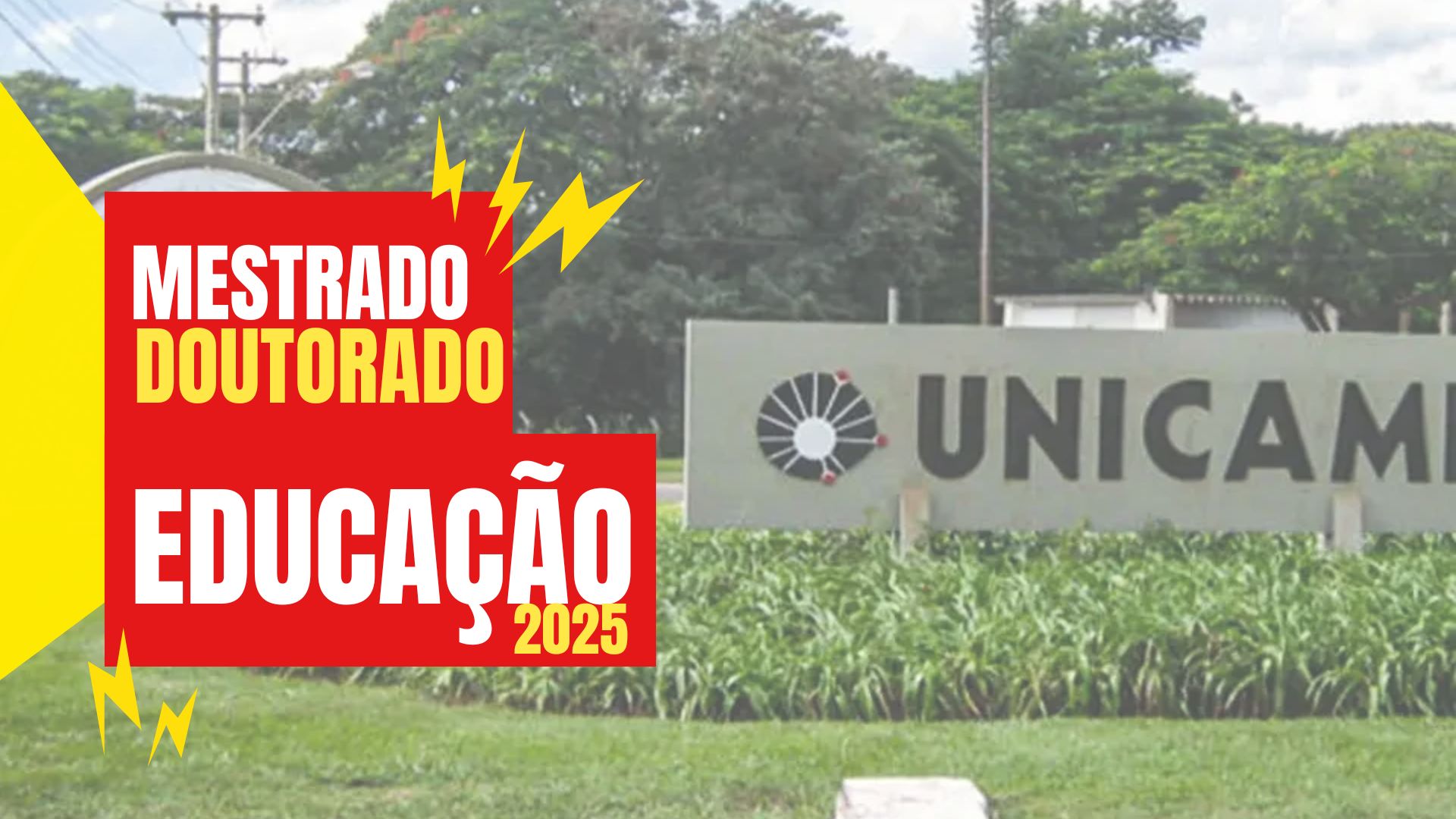 Universidade Estadual de Campinas - UNICAMP oferece mais de 150 vagas para o Mestrado e Doutorado em Educação para 2025.