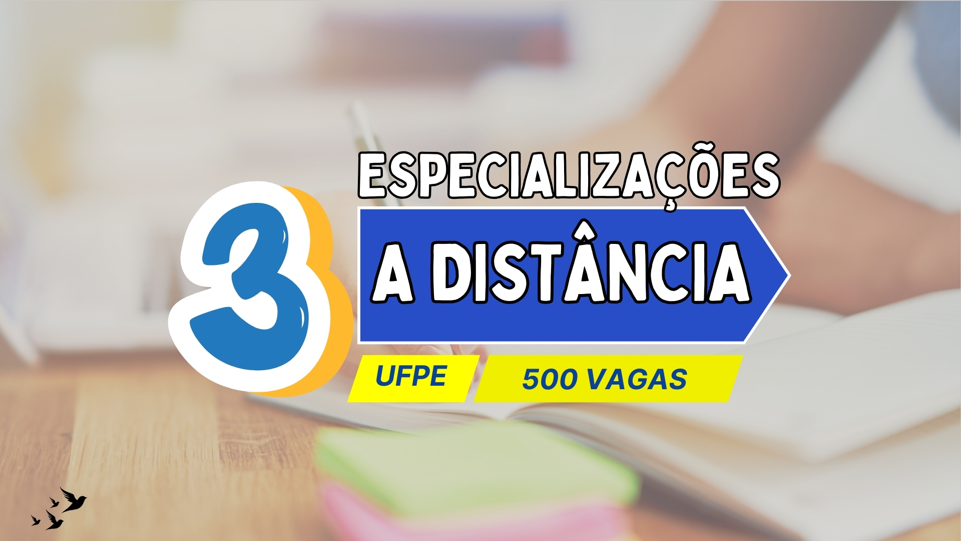 Universidade Federal de Pernambuco - UFPE abre inscrições para 3 Especializações EAD na área da Educação com 500 vagas GRATUITAS! CONFIRA!