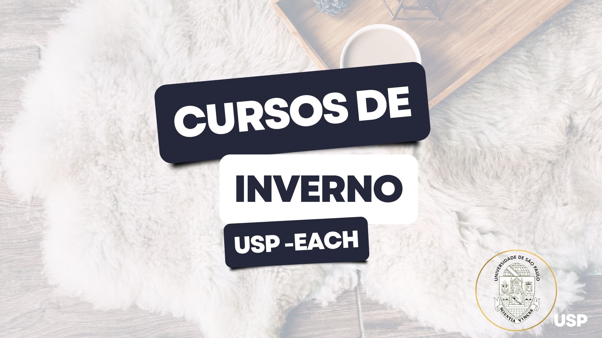 Universidade de São Paulo - USP anuncia inscrições para 13 novos Cursos de Inverno da FFLCH - USP; inscrições de 26 a 28 de julho.